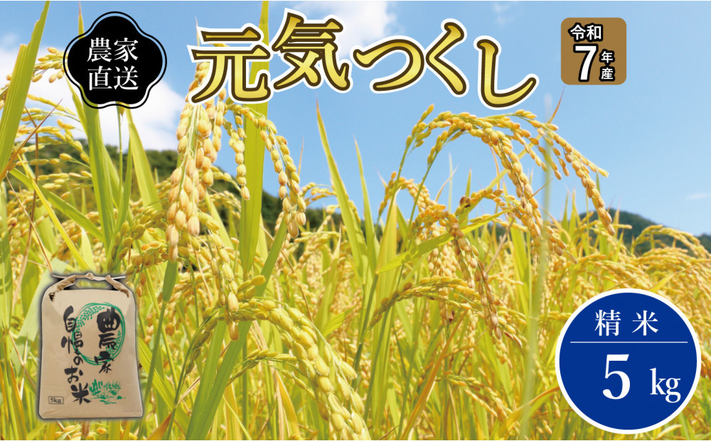 《令和7年産》福岡県大川市産&nbsp;ブランド&nbsp;米「&nbsp;元気つくし&nbsp;」&nbsp;5kg