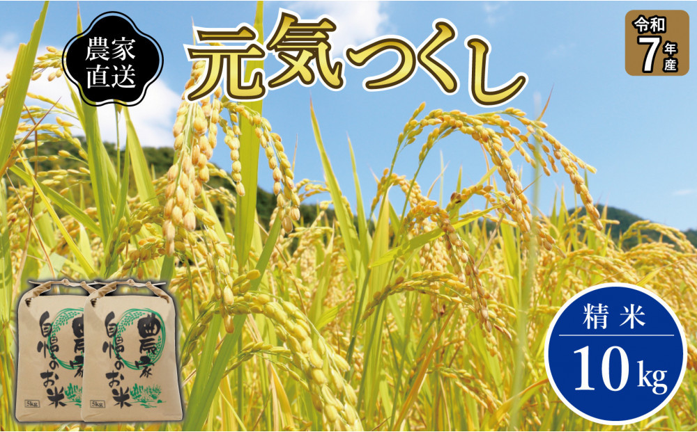 《令和7年産》福岡県大川市産&nbsp;ブランド&nbsp;米「&nbsp;元気つくし&nbsp;」&nbsp;5kg×2個　計10kg