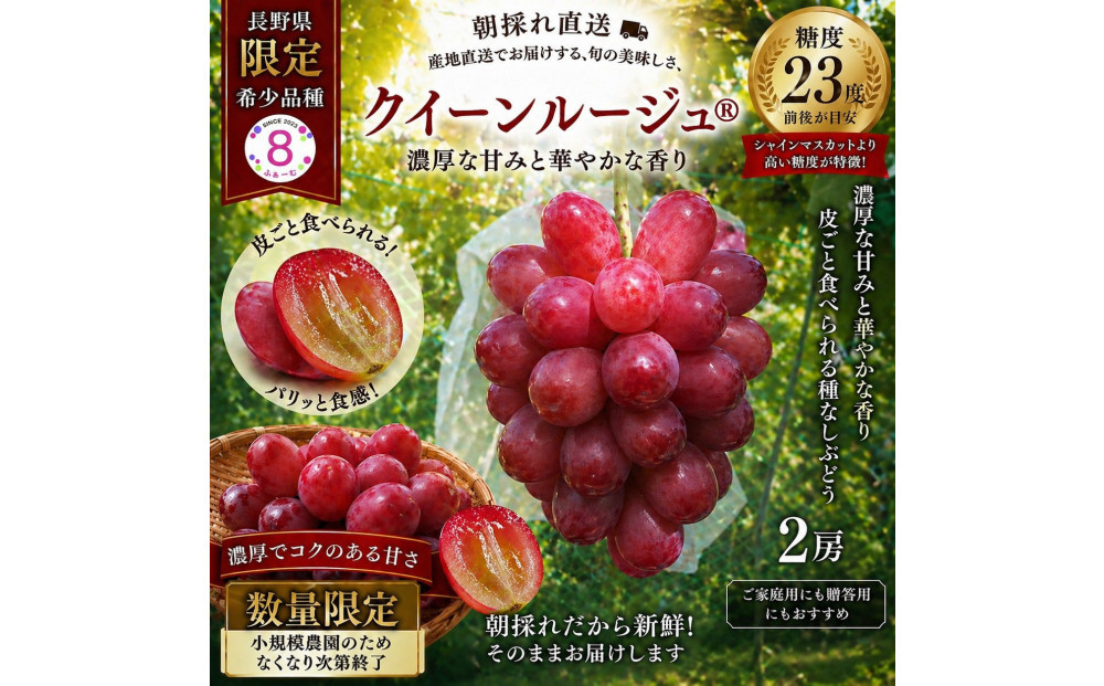 【2026年】高糖度×長野県限定！赤くてジューシーなクイーンルージュ(R)2房（1～1.2kg)　8ふぁーむ｜&nbsp;クイーンルージュ&nbsp;８ふぁーむ&nbsp;高糖度&nbsp;長野県限定&nbsp;人気&nbsp;おすすめ&nbsp;フルーツ&nbsp;果物&nbsp;ぶどう&nbsp;赤ぶどう&nbsp;旬&nbsp;産地直送&nbsp;先行予約&nbsp;送料無料&nbsp;長野県&nbsp;長野市&nbsp;信州&nbsp;信濃&nbsp;ふるさと納税