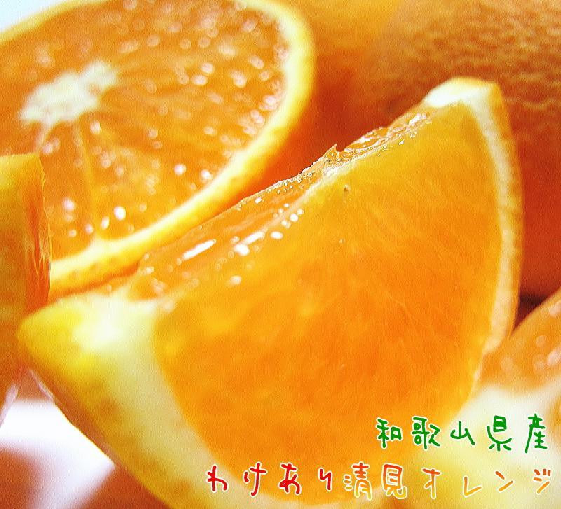 有田育ちの&nbsp;完熟&nbsp;清見&nbsp;オレンジ（ご家庭用）約1.5kg［先行予約］［MS166］