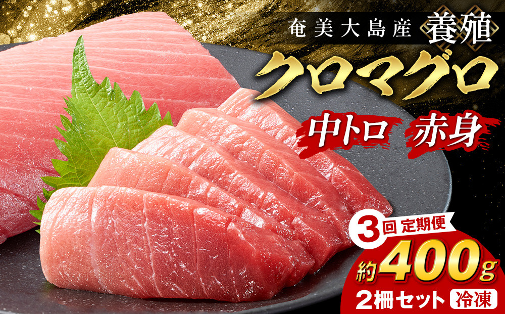 【3回定期便】奄美大島産養殖クロマグロ&nbsp;2柵セット