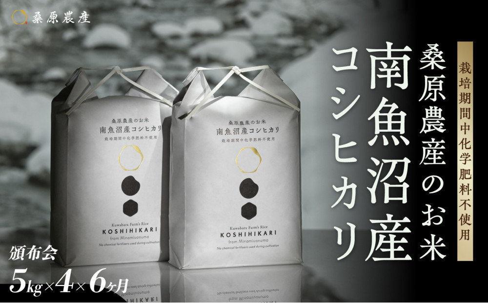 【令和8年産新米予約】【頒布会】最優秀賞受賞【減農薬】最高峰南魚沼産こしひかり5kg×4　6ヶ月　桑原農産のお米(精米)【2026年9月中旬より1ヶ月以内に順次発送予定】