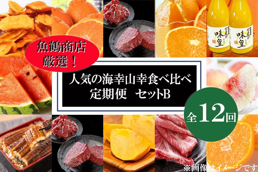 【魚鶴商店厳選！】人気の海幸山幸食べ比べ【定期便全12回】セットB【UT110】