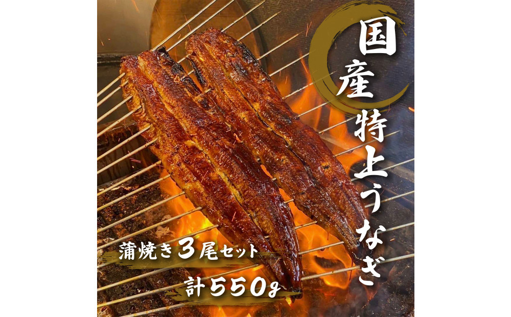 名古屋の老舗卸直営！手焼き国産鰻蒲焼き３尾セット計550g