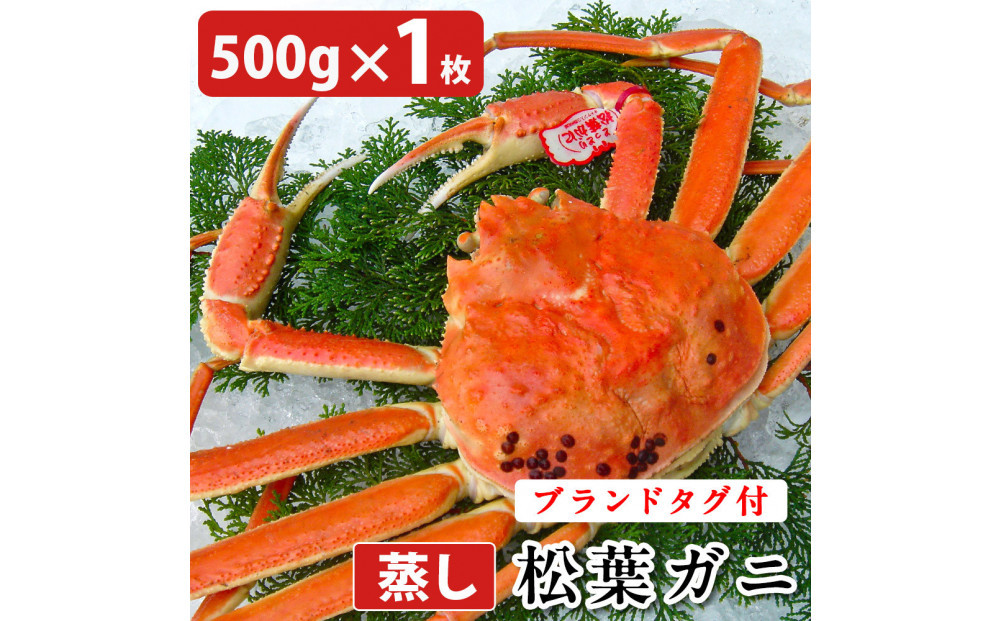 タグ付き&nbsp;蒸し松葉蟹×1枚（500g前後）【鳥取県&nbsp;境港市】