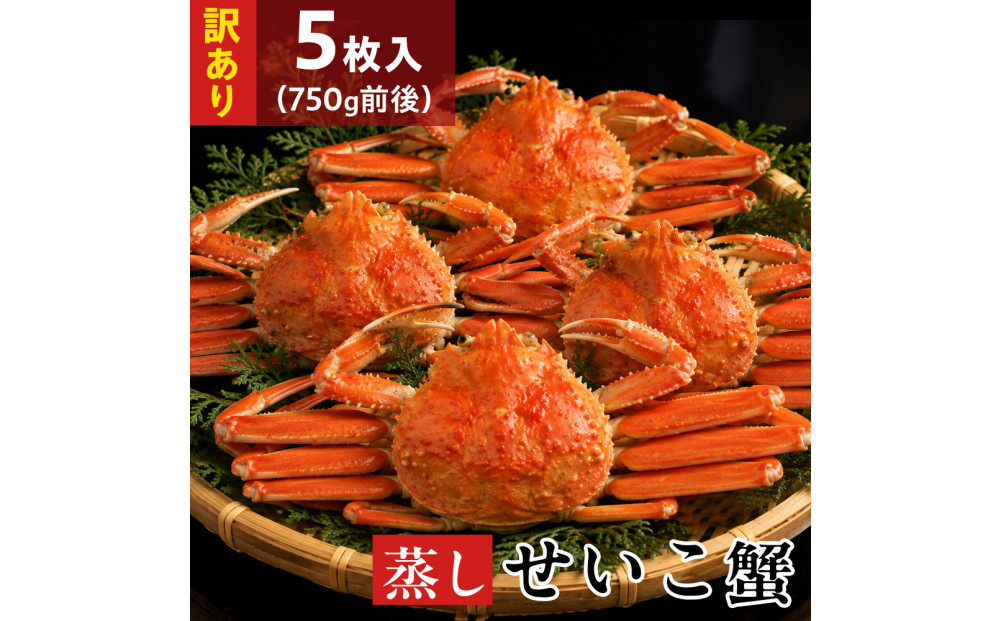【11月中旬以降発送】訳あり蒸しせいこ蟹×5枚（750g前後）【鳥取県&nbsp;境港市】