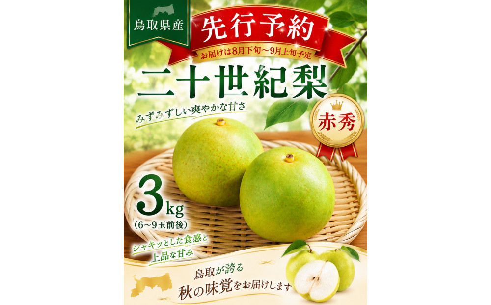 東商果樹園&nbsp;二十世紀梨(赤秀)3kg(８月下旬から発送）｜鳥取&nbsp;梨&nbsp;なし&nbsp;二十世紀梨&nbsp;期間限定&nbsp;送料無料&nbsp;鳥取県&nbsp;三朝町　20世紀梨&nbsp;フルーツ&nbsp;果物　くだもの　贈答品&nbsp;ギフト&nbsp;なし&nbsp;ナシ&nbsp;和梨　期間限定　季節限定　国産　直送　旬　秋　ヘルシー　ビタミン豊富　鳥取県産梨