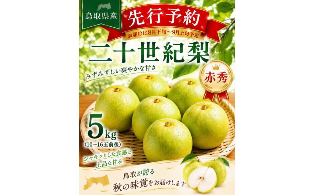 東商果樹園&nbsp;二十世紀梨(赤秀)5kg(８月下旬から発送）｜鳥取&nbsp;梨&nbsp;なし&nbsp;二十世紀梨&nbsp;期間限定&nbsp;送料無料&nbsp;鳥取県&nbsp;三朝町　20世紀梨&nbsp;フルーツ&nbsp;果物　くだもの　贈答品&nbsp;ギフト&nbsp;なし&nbsp;ナシ&nbsp;和梨　期間限定　季節限定　国産　直送　旬　秋　ヘルシー　ビタミン豊富　鳥取県産梨
