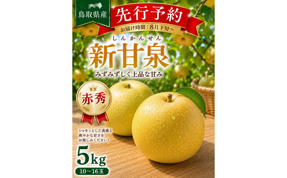東商果樹園&nbsp;新甘泉(赤秀)5kg(８月下旬から発送）｜国産&nbsp;新甘泉&nbsp;梨&nbsp;国産梨&nbsp;国産新甘泉&nbsp;梨&nbsp;&nbsp;新甘泉&nbsp;鳥取県産新甘泉&nbsp;鳥取県産梨&nbsp;梨先行予約&nbsp;新甘泉先行予約&nbsp;新鮮&nbsp;旬&nbsp;フルーツ&nbsp;果物&nbsp;くだもの&nbsp;和梨&nbsp;新甘泉&nbsp;しんかんせん&nbsp;人気&nbsp;甘い&nbsp;三朝町　送料無料　