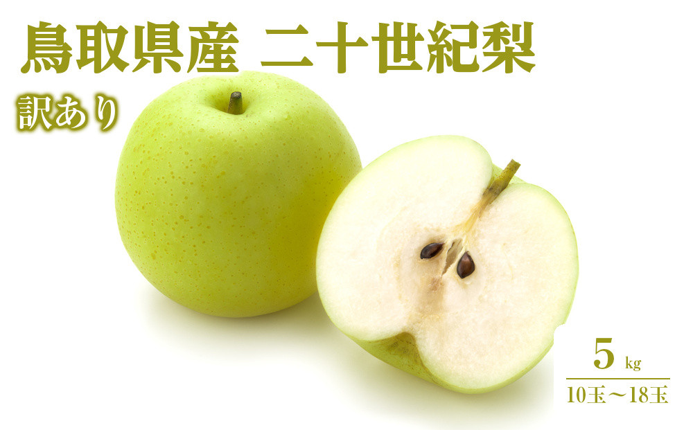 【2026年9月発送】訳あり&nbsp;鳥取県産&nbsp;二十世紀梨&nbsp;5kg&nbsp;(10玉～18玉)｜鳥取梨&nbsp;なし&nbsp;二十世紀梨&nbsp;期間限定&nbsp;送料無料&nbsp;鳥取県&nbsp;三朝町　20世紀梨&nbsp;フルーツ&nbsp;果物　くだもの　わけあり&nbsp;なし&nbsp;ナシ&nbsp;和梨　期間限定　季節限定　国産　直送　旬　秋　国産　ヘルシー　ビタミン豊富　鳥取県産梨　訳あり