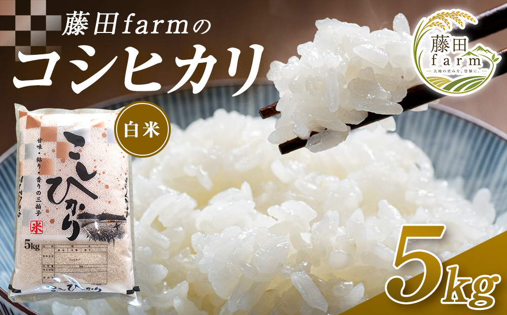 【先行予約受付】≪10月上旬発送≫令和８年産&nbsp;大田原市&nbsp;藤田farmのコシヒカリ【白米】5kg&nbsp;｜栃木県産&nbsp;米&nbsp;お米&nbsp;&nbsp;コメ&nbsp;こしひかり&nbsp;コシヒカリ&nbsp;栃木県&nbsp;【選べる容量】5kg&nbsp;10kg&nbsp;&nbsp;数量限定