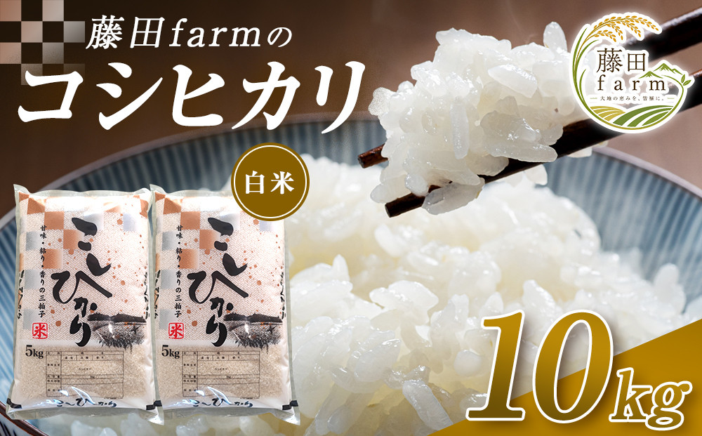 【先行予約受付】≪10月上旬発送≫令和８年産&nbsp;大田原市&nbsp;藤田farmのコシヒカリ【白米】10kg&nbsp;｜栃木県産&nbsp;米&nbsp;お米&nbsp;&nbsp;コメ&nbsp;こしひかり&nbsp;コシヒカリ&nbsp;栃木県&nbsp;【選べる容量】5kg&nbsp;10kg&nbsp;&nbsp;数量限定