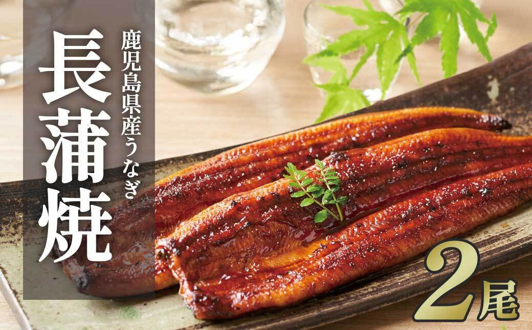 【チョイスメルマガ限定】鹿児島県産うなぎ長蒲焼2尾&nbsp;計320g以上