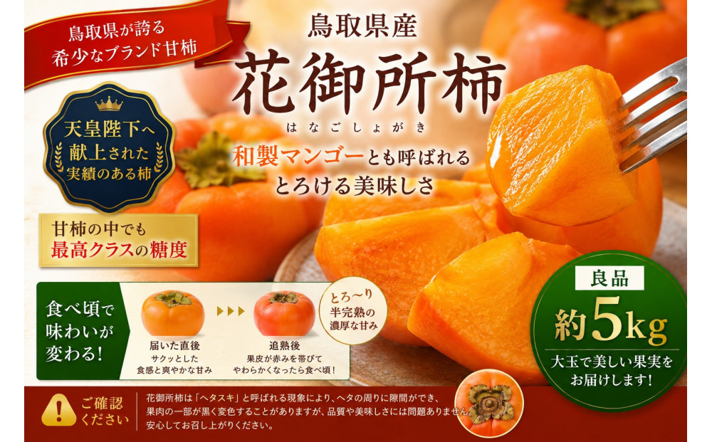 【先行予約】【鳥取市産・良品】花御所柿&nbsp;約5kg｜甘柿最高クラスの糖度&nbsp;追熟でとろける食感&nbsp;和製マンゴーとも称される希少ブランド柿