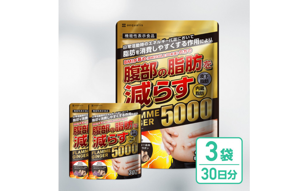 脂肪を消費しやすくする&nbsp;ブラックジンジャー&nbsp;サプリメント&nbsp;フラムジンジャー&nbsp;機能性表示食品&nbsp;3袋&nbsp;ダイエット&nbsp;カプサイシン&nbsp;カテキン&nbsp;L-カルニチン&nbsp;BCAA&nbsp;BMI&nbsp;脂肪&nbsp;内臓脂肪&nbsp;体重&nbsp;ウエスト