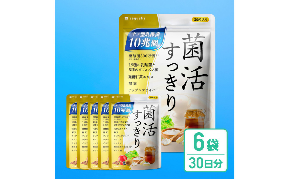 乳酸菌サプリメント&nbsp;6袋&nbsp;ナノ型乳酸菌10兆個&ビフィズス菌配合&nbsp;乳酸菌プレミアム