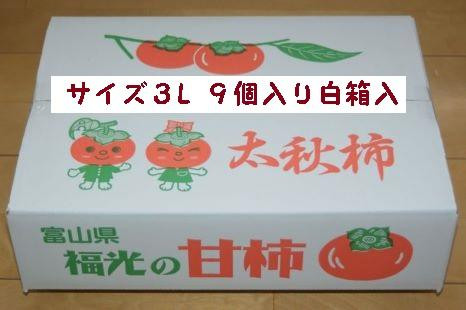 甘柿　太秋柿&nbsp;輝太郎柿&nbsp;詰合せ&nbsp;3L9個入2.3kg以上&nbsp;白箱入り【2026年10月15日頃より発送】