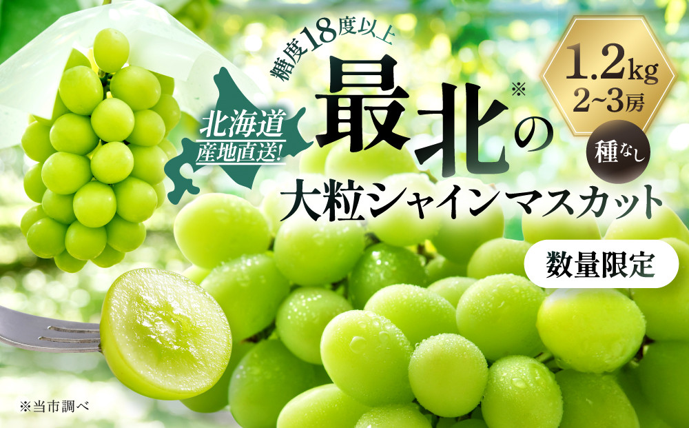 【先行予約】最北のシャインマスカット&nbsp;1.2kg(2~3房)(2026年10月中旬発送開始予定)_06538
