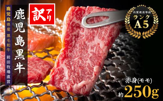 訳あり　鹿児島県産黒毛和牛　赤身（モモ）焼肉用　250g