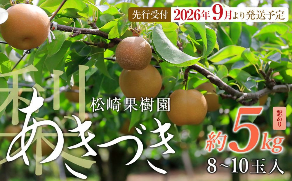 【訳あり梨&nbsp;2026年発送／先行予約】訳あり「あきづき」約5kg（8～10玉入）【松崎果樹園】｜訳あり&nbsp;梨&nbsp;ナシ&nbsp;こだわりの梨&nbsp;フルーツ&nbsp;果物&nbsp;旬の梨&nbsp;宮城県角田市&nbsp;約5kg