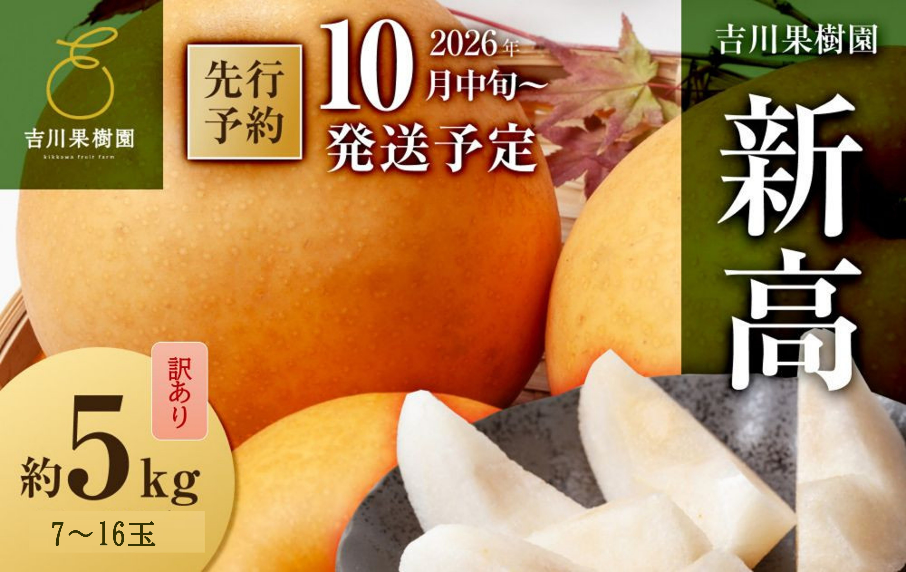 訳あり梨&nbsp;新高&nbsp;約5kg&nbsp;7～16玉&nbsp;2026年分先行予約&nbsp;10月中旬～順次発送&nbsp;吉川果樹園&nbsp;にいたか&nbsp;なし&nbsp;ナシ&nbsp;和梨&nbsp;大玉&nbsp;ジャンボ&nbsp;フルーツ&nbsp;果物&nbsp;旬の果物&nbsp;旬の味覚&nbsp;旬のフルーツ&nbsp;国産&nbsp;産地直送&nbsp;旬&nbsp;完熟&nbsp;高糖度&nbsp;甘さ&nbsp;酸味&nbsp;シャリ感&nbsp;ジューシー&nbsp;デザート&nbsp;数量限定&nbsp;季節限定