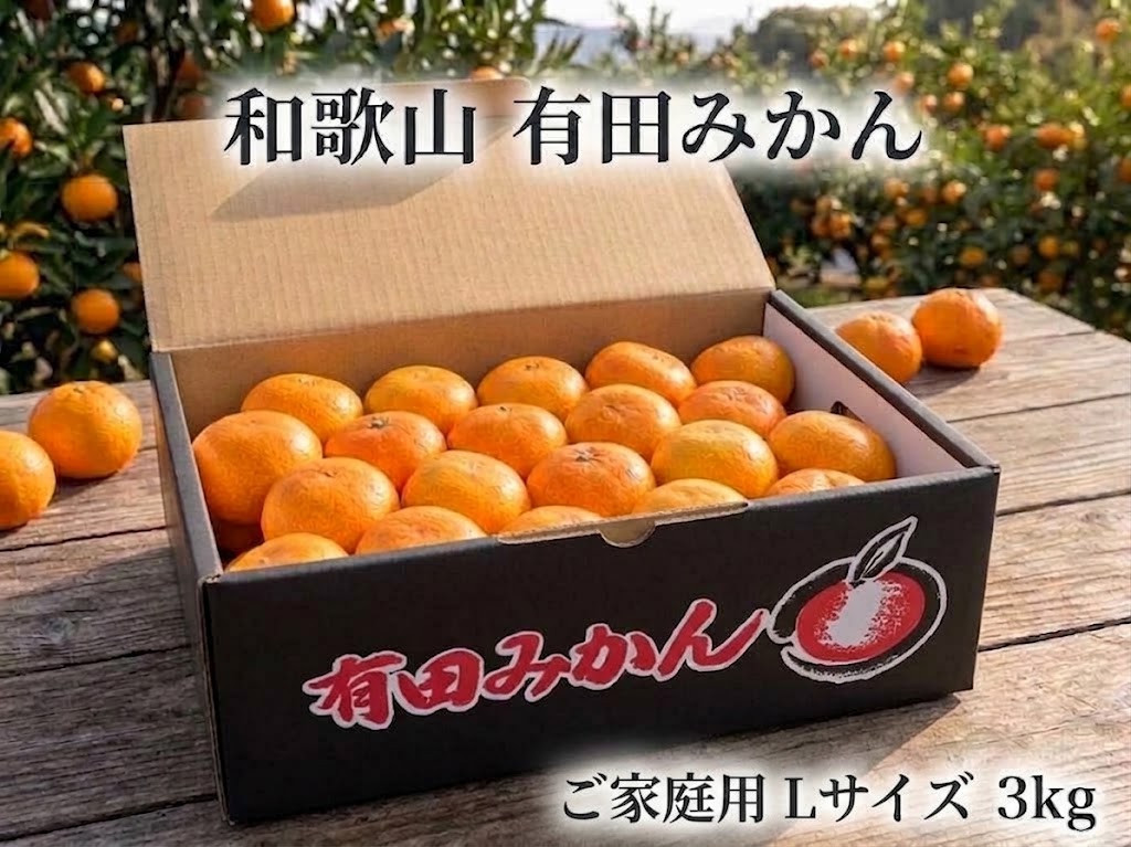 ［ご家庭用・サイズＬ］和歌山有田産！早生みかん≪3kg≫［予約販売］まる隆果樹園
