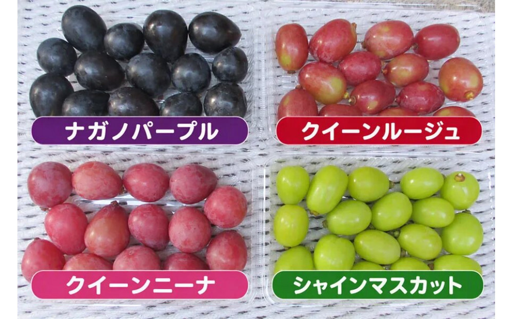 【おまかせ3種】粒ぶどう食べ比べ３種類　４パック（300ｇ×４パック）
