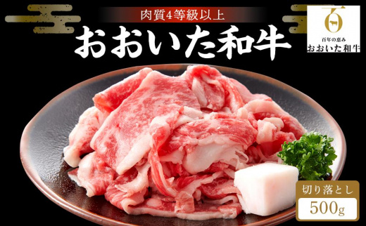 【おおいた和牛】赤身（ウデ・モモ）切り落とし 500g｜肉質4等級以上 国産和牛