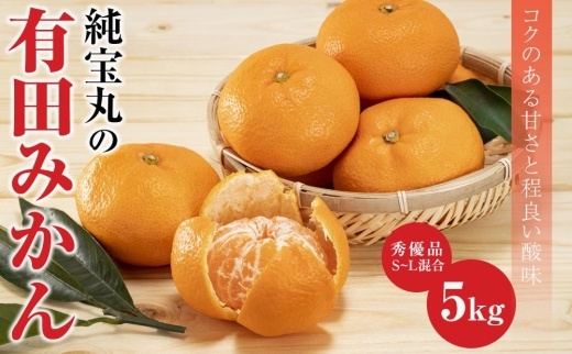 純宝丸の有田みかん5kg　 温州みかんサイズS～L混合　秀優品