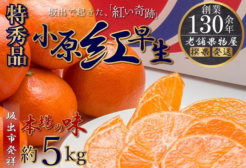 特秀品！小原紅早生みかん　約５ｋｇ【坂出発祥の真っ紅なお蜜柑】