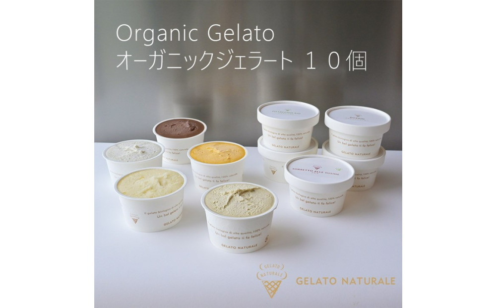 本場イタリア仕込みの本格オーガニックジェラート 10個【福岡市】