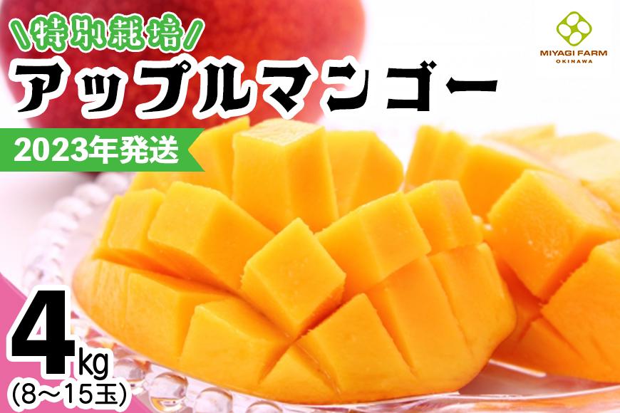 【2023年発送】特別栽培アップルマンゴー4kg