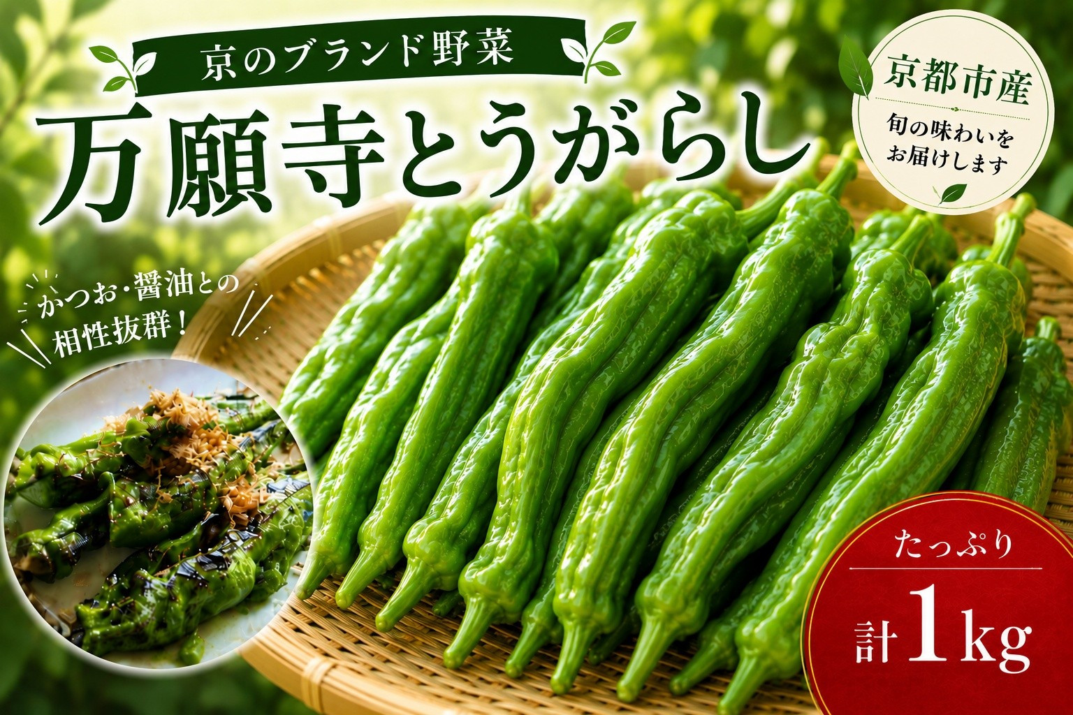 【先行予約・2026年7月発送】万願寺とうがらし（京野菜）1kg（目安30～35本）&nbsp;|京都&nbsp;野菜&nbsp;人気セット［&nbsp;京都&nbsp;野菜&nbsp;万願寺&nbsp;とうがらし&nbsp;ご当地&nbsp;人気&nbsp;おすすめ&nbsp;定番&nbsp;セット&nbsp;おいしい&nbsp;ご自宅用&nbsp;お取り寄せ&nbsp;通販&nbsp;送料無料&nbsp;ふるさと納税&nbsp;］