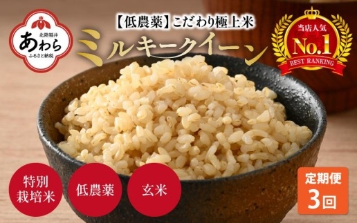 【令和6年産 新米】《定期便》5kg×3回 15kg 特別栽培米 ミルキークイーン 玄米 低農薬 《食味値85点以上！こだわり玄米》 / 福井県 あわら 北陸 米 お米 人気