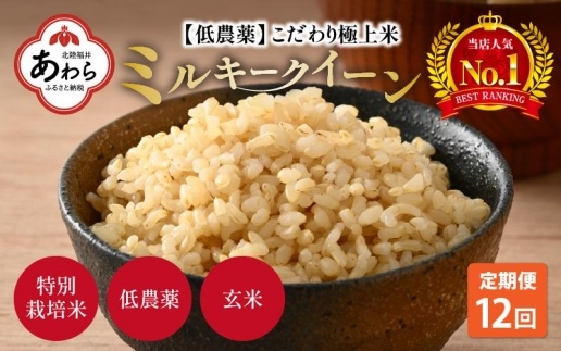 【令和6年産 新米】《定期便》5kg×12回 60kg 特別栽培米 ミルキークイーン 玄米 低農薬《食味値85点以上！こだわり玄米》 / 福井県 あわら市 北陸 米 お米 人気