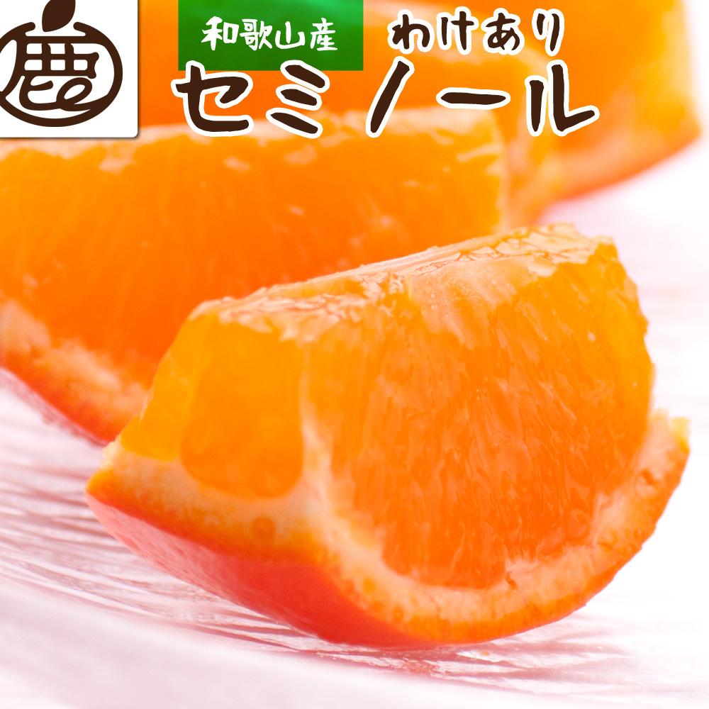 ＜4月より発送＞家庭用 セミノールオレンジ3kg+90g（傷み補償分）【有田の春みかん】【有田産】【光センサー食べ頃出荷】【わけあり・訳あり】