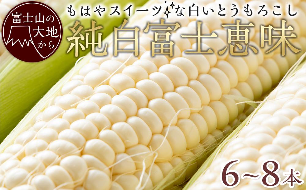 【2025年7月中旬より発送】 白い恵味 富士山の大地から待望の白いとうもろこし！フルーツではなくもはやスイーツ☆純白富士恵味6～8本 先行予約 スイートコーン