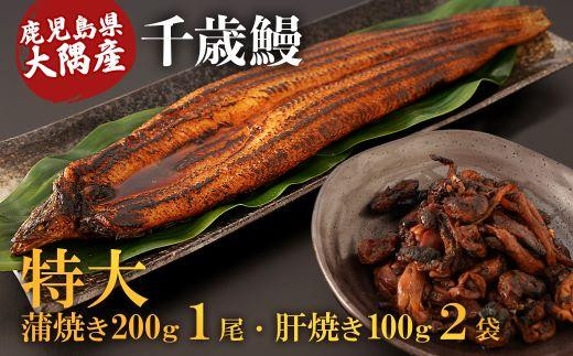 鹿児島県大隅産　特大うなぎ蒲焼200g 1尾・鰻の肝焼き100g×2袋 セット