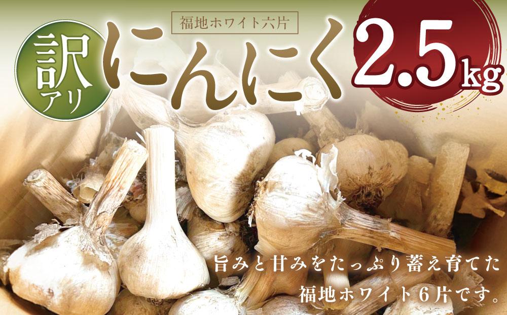 令和6年産にんにく2.5kg【福地ホワイト六片】【訳アリ】数量限定