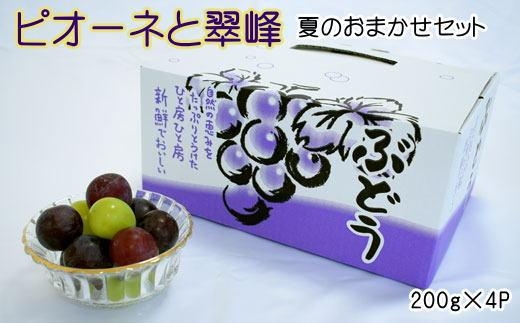 【数量限定】ピオーネと翠峰の夏のおまかせセット約200g×4パック★2025年8月下旬頃より順次発送【TM183】