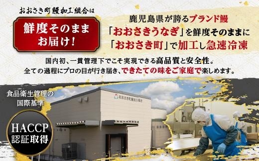 数量限定 鹿児島県産うなぎ長蒲焼6尾 約100g×6尾 鰻 国産うなぎ蒲焼き
