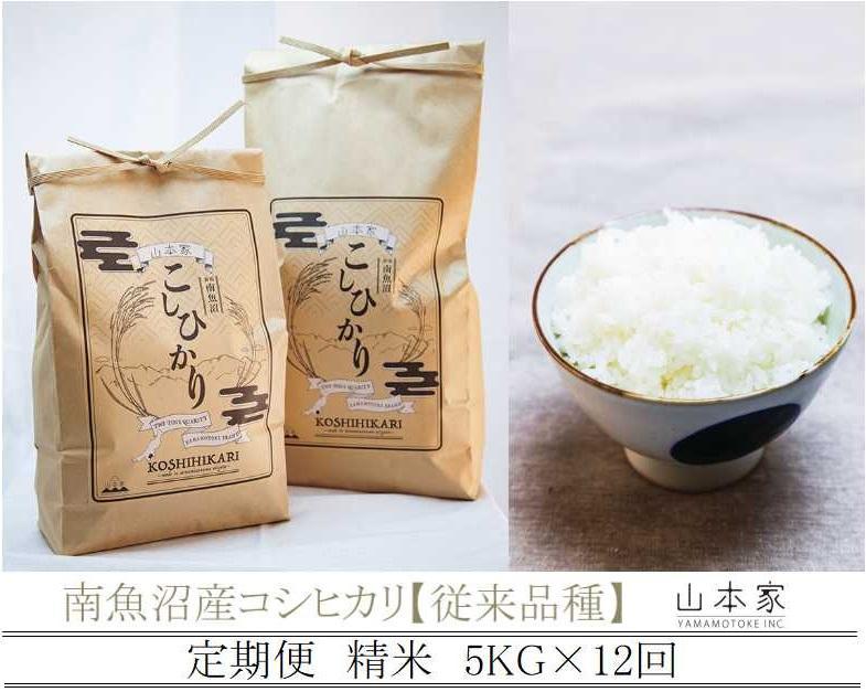 【予約Ｒ7年産　新米予約】【定期便】南魚沼産コシヒカリ精米5kg×12回 山本家【従来品種】【2025年10月中旬より順次発送予定】