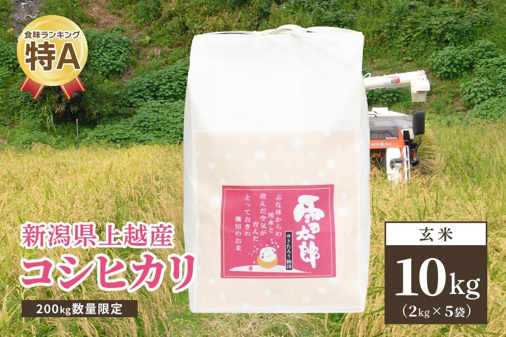 200kg数量限定 令和5年／新潟上越産「標高480ｍの山間地で育てた棚田米コシヒカリ」玄米10kg