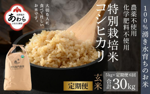 【令和6年産 新米】《定期便6回》伊与衛門農園のコシヒカリ 玄米 5kg （計30kg）特別栽培米 化学肥料不使用  ＜温度と湿度を常時管理し新鮮米を出荷！＞／ 高品質 鮮度抜群 福井県あわら産 ブランド米 お米