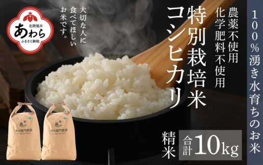 【令和6年産 新米】伊与衛門農園のコシヒカリ 精米 10kg 特別栽培米 5kg×2袋 化学肥料不使用 ＜温度と湿度を常時管理し新鮮米を出荷！＞／ 高品質 鮮度抜群 福井県あわら産 ブランド米 白米 お米