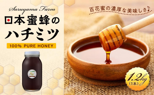 日本蜜蜂のはちみつ 1 kg (500ｇ×2本)