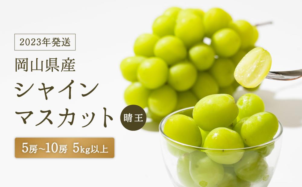 最安値挑戦 岡山県産シャインマスカット 2房 (480g以上) 2房 果物