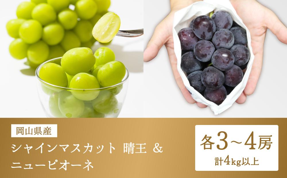 格安即決 岡山県産シャインマスカット晴王 晴王 4房 食品