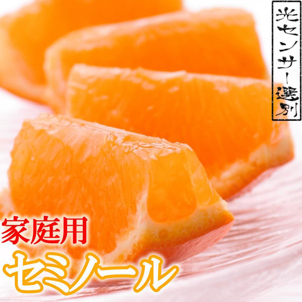 ＜4月より発送＞家庭用 セミノールオレンジ3kg+90g（傷み補償分）【有田の春みかん】【有田産】【光センサー食べ頃出荷】【わけあり・訳あり】