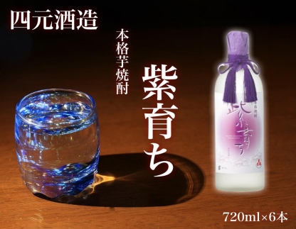 【四元酒造】紫育ち 化粧箱入り 720ml×6本セット（アルコール分25％）